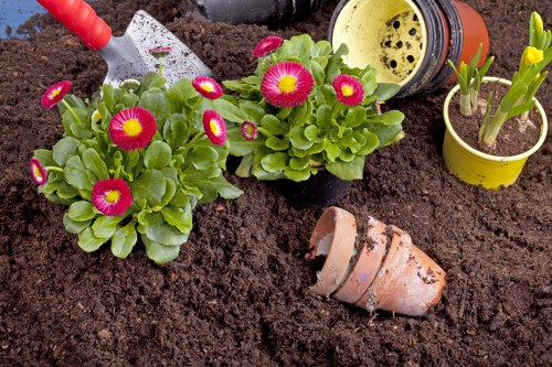 Gardeners Bexleyheath maintaining a neat residential garden
