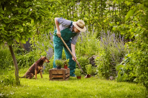 Illustration of accessibility review for garden service pages