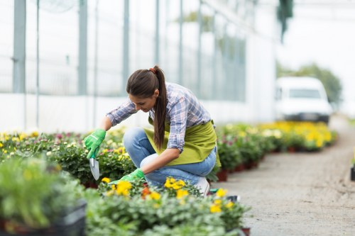 Professional garden maintenance in Bexleyheath including hedge trimming and weeding