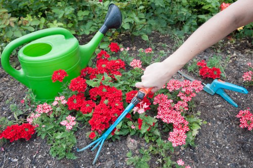 Professional garden waste removal and tidying in a Bexleyheath garden