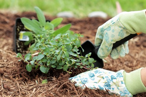 Bexleyheath garden landscaping with pathways and shrubs