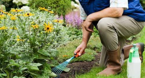 Lawn and hedge maintenance by gardeners in Bexleyheath