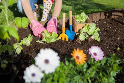 Low-maintenance landscaping ideas for Bexleyheath properties