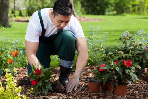 Gardeners Bexleyheath maintaining a tidy and safe work area