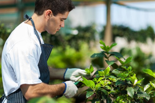 Illustration of screen-reader friendly Bexleyheath gardening information