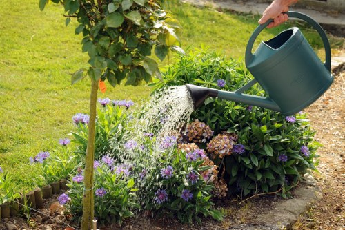 Professional lawn maintenance services improving a Bexleyheath lawn