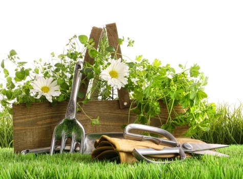 Professional gardening team working on a Bexleyheath garden