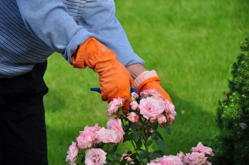 Local gardeners in Bexleyheath completing safe and insured garden maintenance