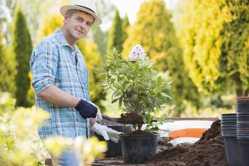 Local gardeners maintaining lawns and borders in Bexleyheath
