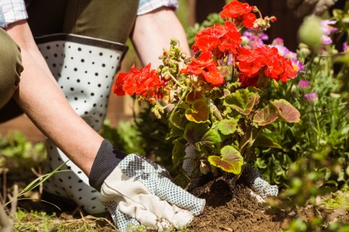 Low-carbon van used for garden recycling services