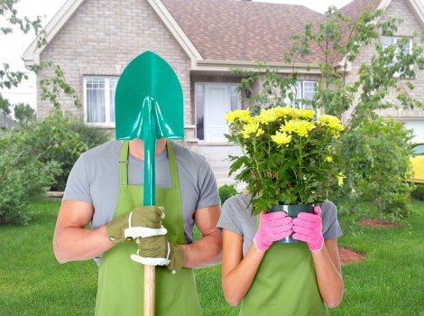 Selective hedge cutting and maintenance for Bexleyheath properties