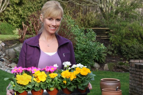 Experienced Bexleyheath gardeners shaping hedges and planting areas