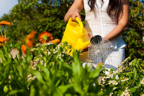 Garden hedge maintenance in Bexleyheath with precise shaping