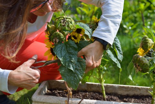 Illustration of keyboard navigation support on a gardening website