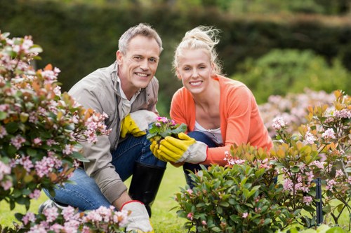 Seasonal planting and hard landscaping in a Bexleyheath garden